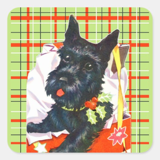 Scottish Terrier Scottie mit grünen karierten Aufk Quadratischer Aufkleber (Vorderseite)