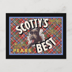 Scottish Terrier Scottys Bester Hund Postkarte