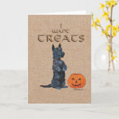 Scottish Terrier setzt sich für Leckereien ein! Karte (Gelbe Blume)