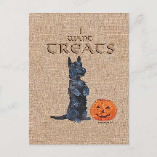 Scottish Terrier setzt sich für Leckereien ein! Postkarte (Vorderseite)