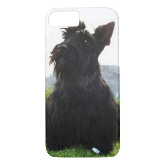 Scottish_Terrier sitting.png Case-Mate iPhone Hülle (Rückseite)
