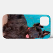 Scottish Terrier sitzt vor einer farbenfrohen Tür Case-Mate iPhone Hülle (Rückseite (Horizontal))