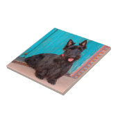 Scottish Terrier sitzt vor einer farbenfrohen Tür Fliese (Seite)