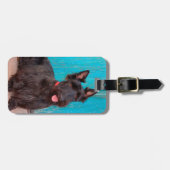 Scottish Terrier sitzt vor einer farbenfrohen Tür Gepäckanhänger (Vorderseite horizontal)