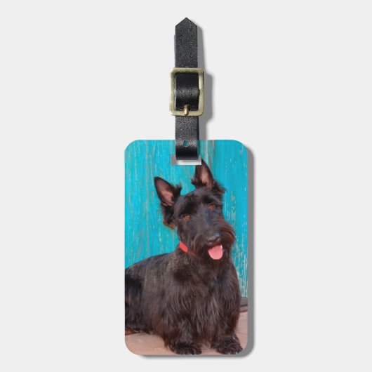 Scottish Terrier sitzt vor einer farbenfrohen Tür Gepäckanhänger (Vorderseite vertikal)