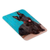 Scottish Terrier sitzt vor einer farbenfrohen Tür Magnet (Rechte Seite)
