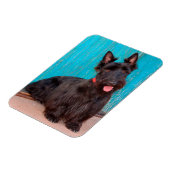 Scottish Terrier sitzt vor einer farbenfrohen Tür Magnet (Linke Seite)