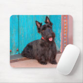 Scottish Terrier sitzt vor einer farbenfrohen Tür Mousepad (Mit Mouse)