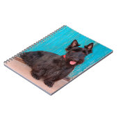 Scottish Terrier sitzt vor einer farbenfrohen Tür Notizblock (Linke Seite)