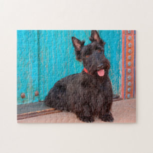 Scottish Terrier sitzt vor einer farbenfrohen Tür Puzzle