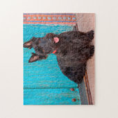 Scottish Terrier sitzt vor einer farbenfrohen Tür Puzzle (Vertikal)
