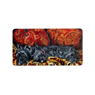 Scottish Terrier Sofa Adressaufkleber