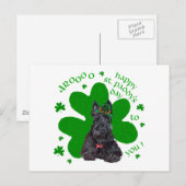 Scottish Terrier St. Paddys Day Postkarte (Vorne/Hinten)