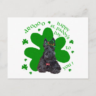Scottish Terrier St. Paddys Day Postkarte