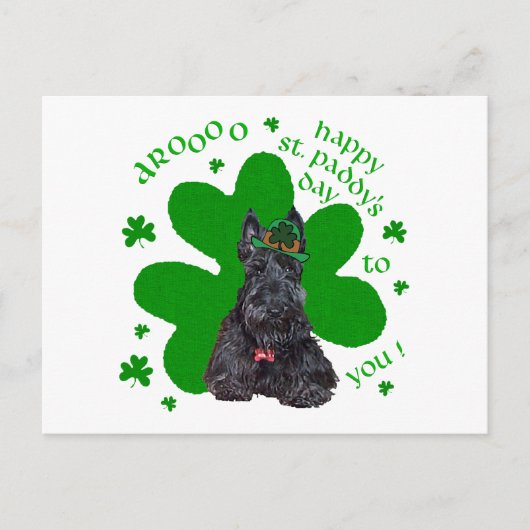 Scottish Terrier St. Paddys Day Postkarte (Vorderseite)