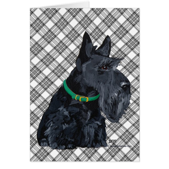 Scottish Terrier St Patricks Day (Vorne)
