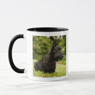 Scottish Terrier Tasse