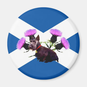 Scottish Terrier, Thistle Magnet