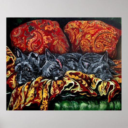 Scottish Terrier Trio Poster (Vorne)