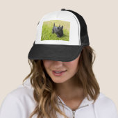 Scottish Terrier Truckerkappe (Beispiel)