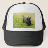 Scottish Terrier Truckerkappe (Vorderseite)
