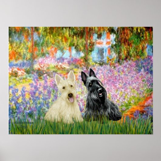 Scottish Terrier (two BW) - Garden Poster (Vorne)