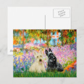 Scottish Terrier (two BW) - Garden Postkarte (Vorne/Hinten)