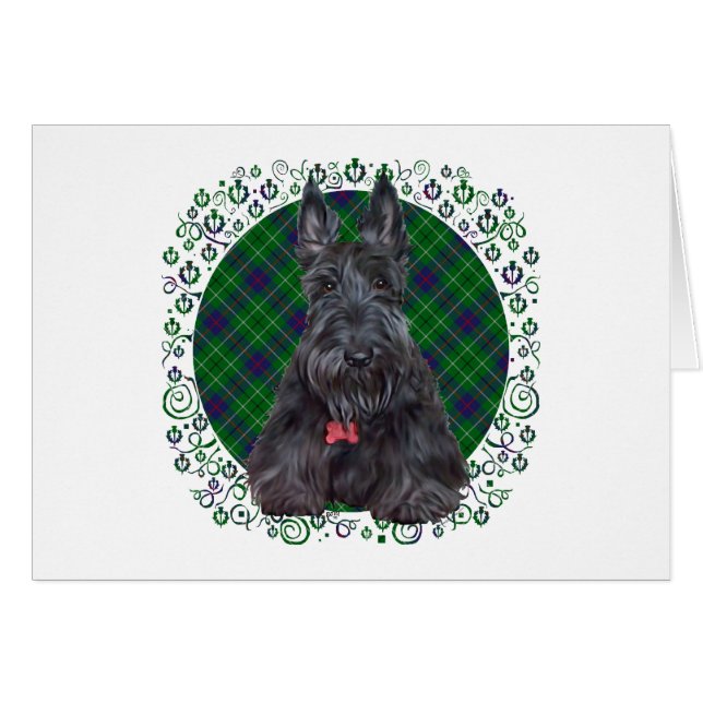Scottish Terrier über Tartan (Vorderseite (Horizontal))