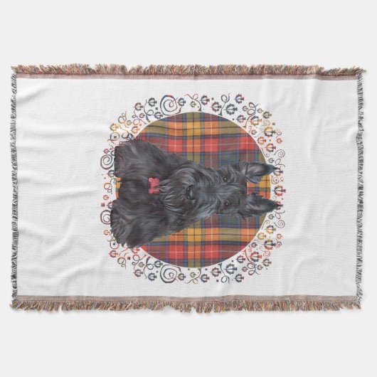 Scottish Terrier über Tartan Decke (Vorderseite)