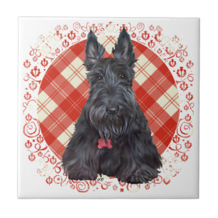 Scottish Terrier über Tartan Fliese