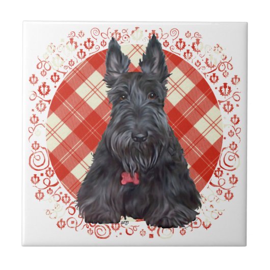 Scottish Terrier über Tartan Fliese (Vorderseite)