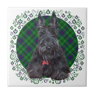 Scottish Terrier über Tartan Fliese