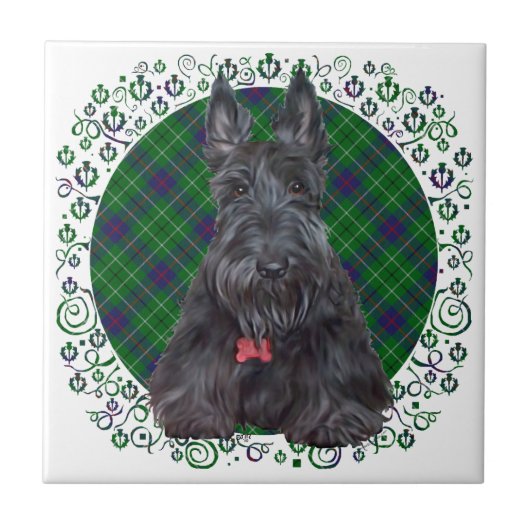 Scottish Terrier über Tartan Fliese (Vorderseite)