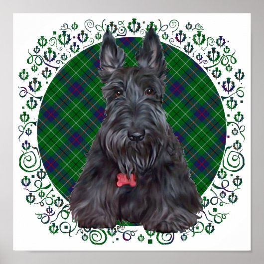 Scottish Terrier über Tartan Poster (Vorne)