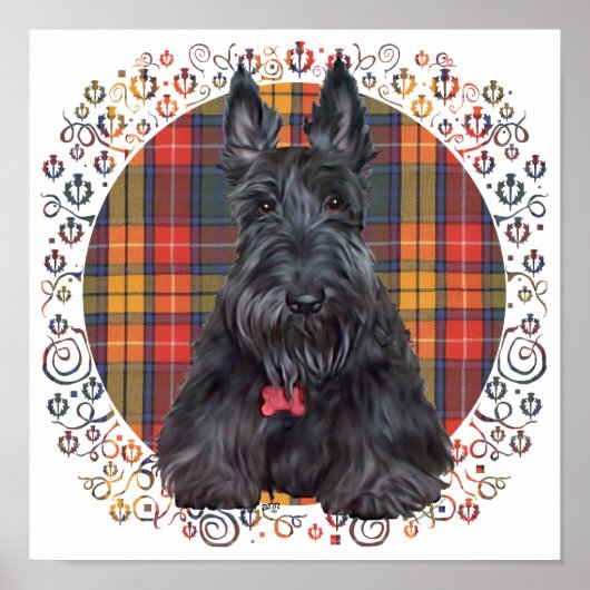 Scottish Terrier über Tartan Poster (Vorne)