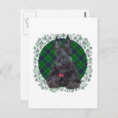 Scottish Terrier über Tartan Postkarte (Vorne/Hinten)