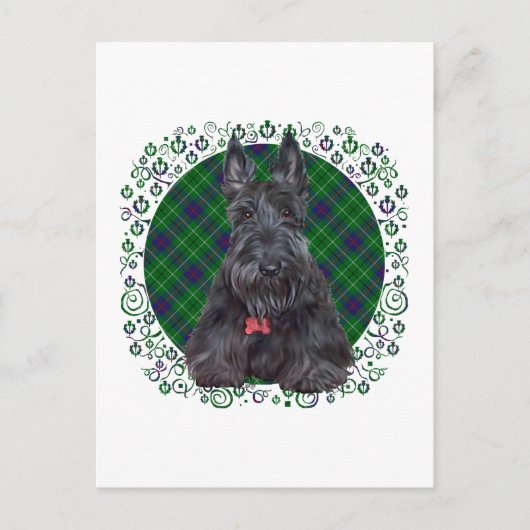 Scottish Terrier über Tartan Postkarte (Vorderseite)