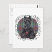 Scottish Terrier über Tartan Postkarte (Vorne/Hinten)