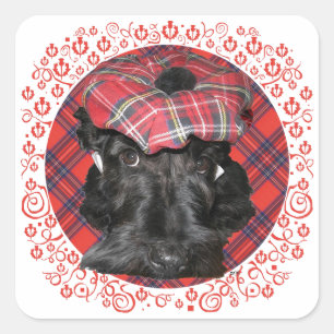 Scottish Terrier über Tartan Quadratischer Aufkleber