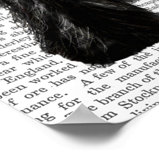 Scottish Terrier und Bow Poster (Ecke)