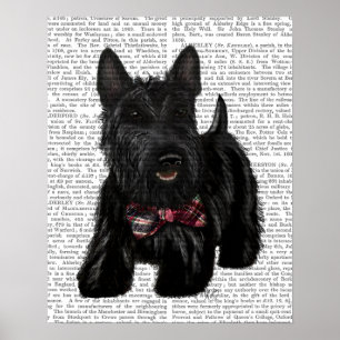 Scottish Terrier und Bow Poster