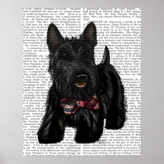 Scottish Terrier und Bow Poster (Vorne)