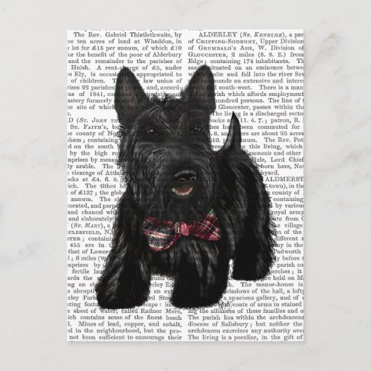 Scottish Terrier und Bow Postkarte (Vorderseite)