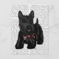 Scottish Terrier und Bow