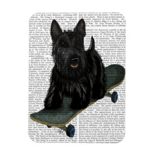 Scottish Terrier und Skateboard Magnet
