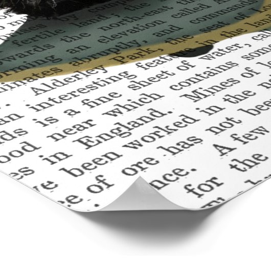 Scottish Terrier und Skateboard Poster (Ecke)