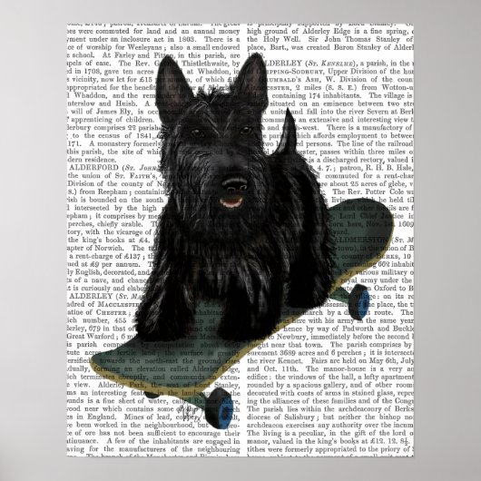 Scottish Terrier und Skateboard Poster (Vorne)