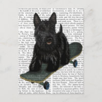 Scottish Terrier und Skateboard