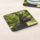 Scottish Terrier Untersetzer (Linke Seite)