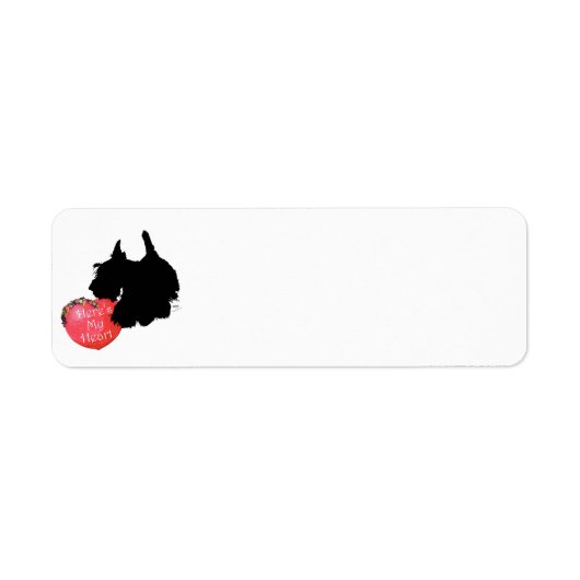 Scottish Terrier Valentine (Vorne)